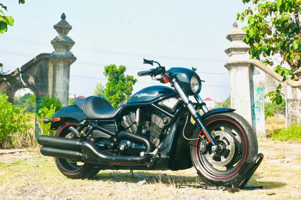 Harley Davidson V-Rod, Road King, Street Glide