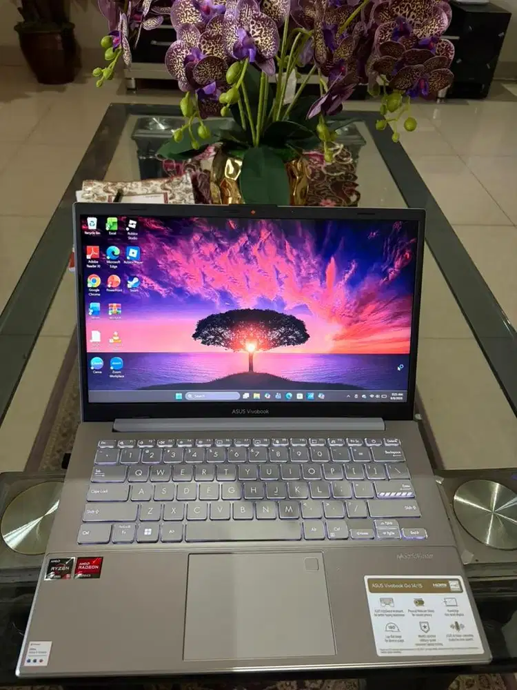 Asus vivobook go 14/15