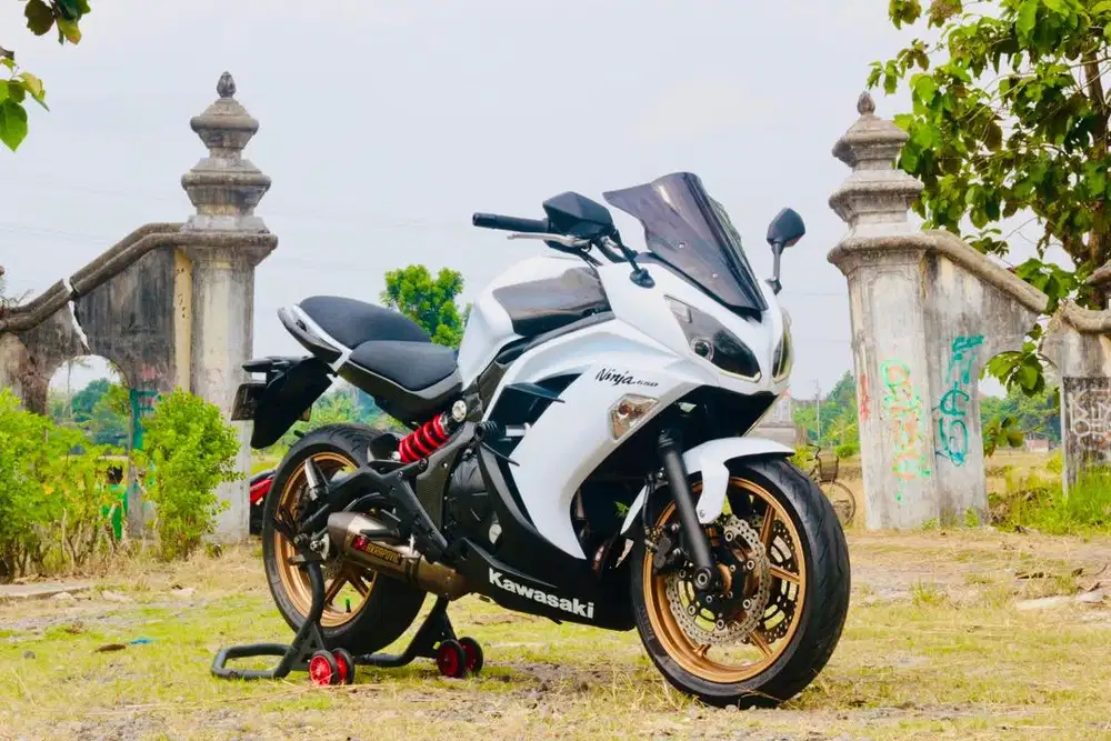 Kawasaki ER6, Ninja 650, KTM 390, Himalayan