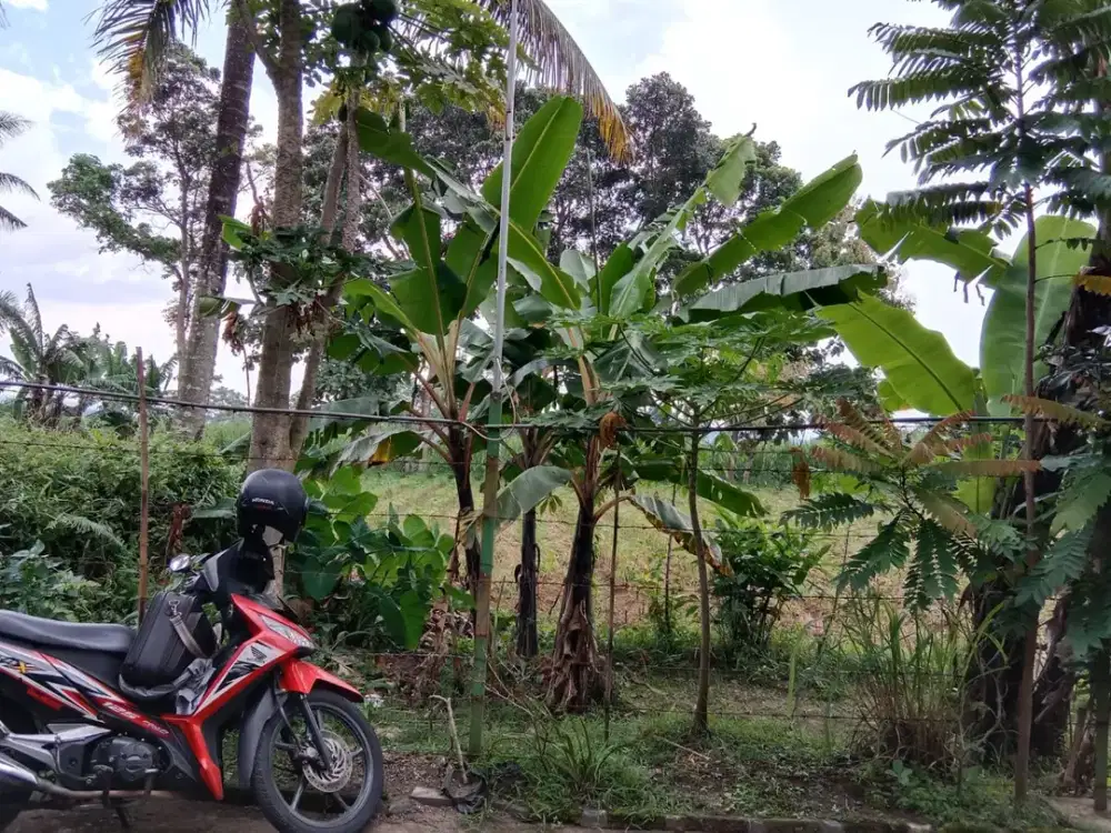Tanah Strategis 728 m² di Watugede Singosari. MLG00080