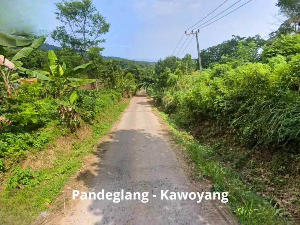 Dijual Tanah Kavling 10 Hektar di Pandeglang Kawoyang Carita Banten Murah Cocok Agrowisata Eco Village Resort Lokasi Strategis