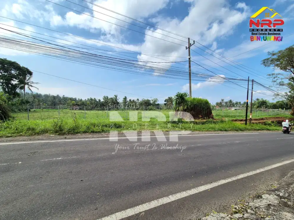 DIJUAL TANAH STRATEGIS DI TAMANSARI, LICIN – BANYUWANGI