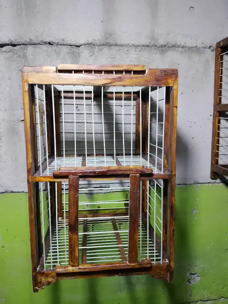 Donggang burung dara