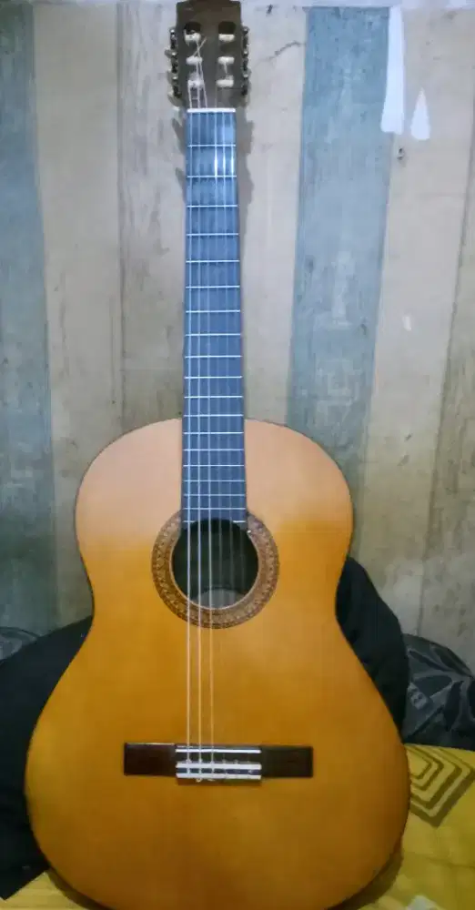 Gitar Yamaha C 310