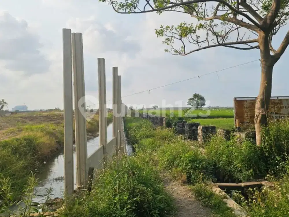 Dijual Tanah Borongan di Area Berkembang Tanjung Pasir
