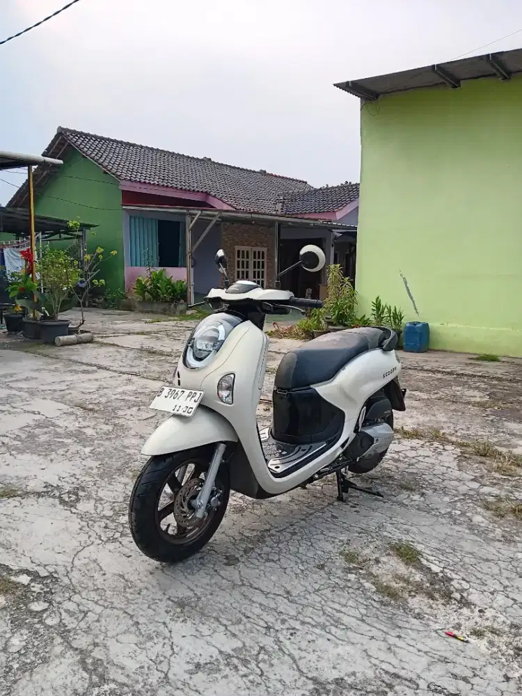 HONDA SCOOOY 2025