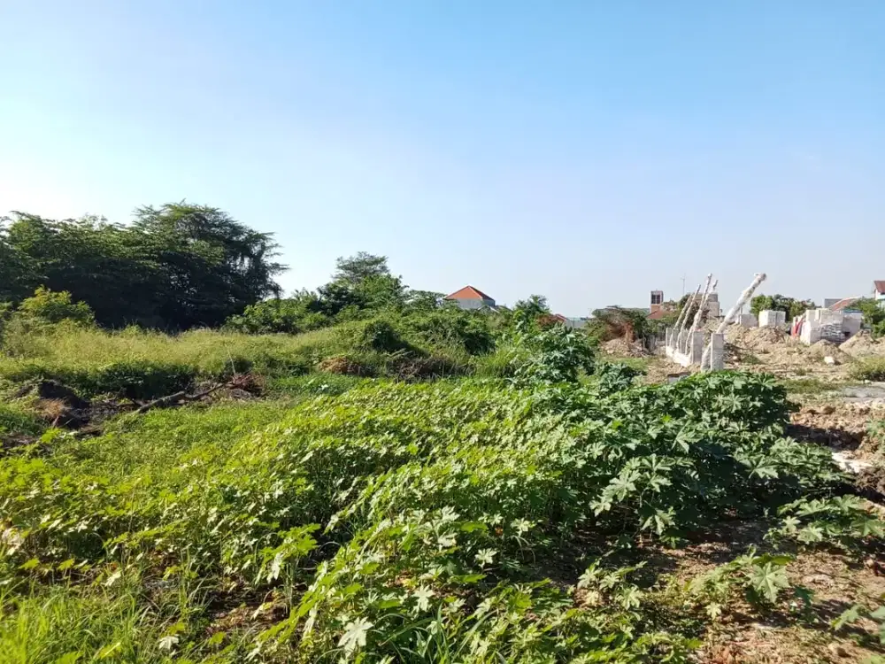 FORSALE TANAH LUAS SHM STRATEGIS RAYA EMBONG KERANG CERME GRESIK MA 471