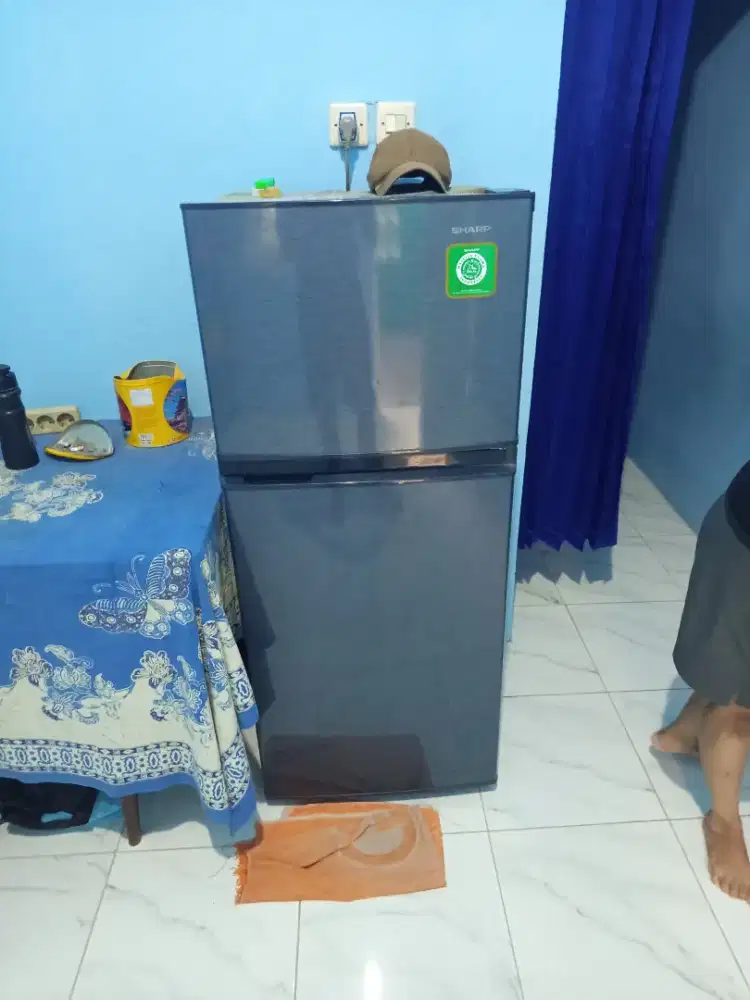 Kulkas sharp 2 pintu