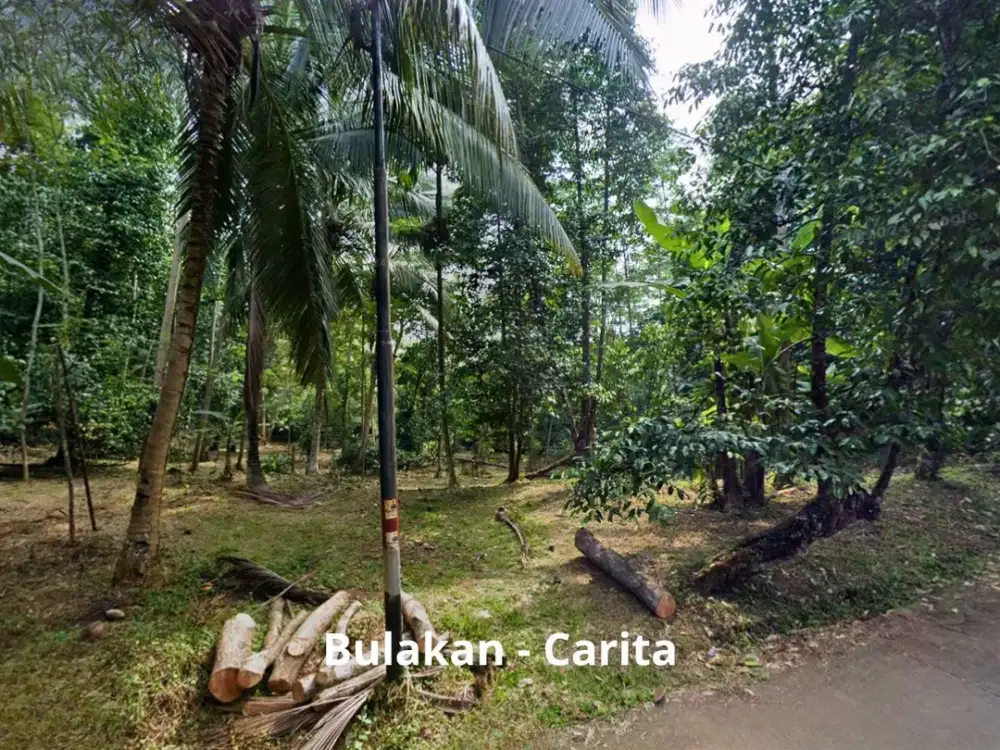 Tanah Lahan Kavling 5.000 M² di Pandeglang Bulakan Carita Banten Muka Jalan Utama Cocok Resort Villa Lokasi Strategis