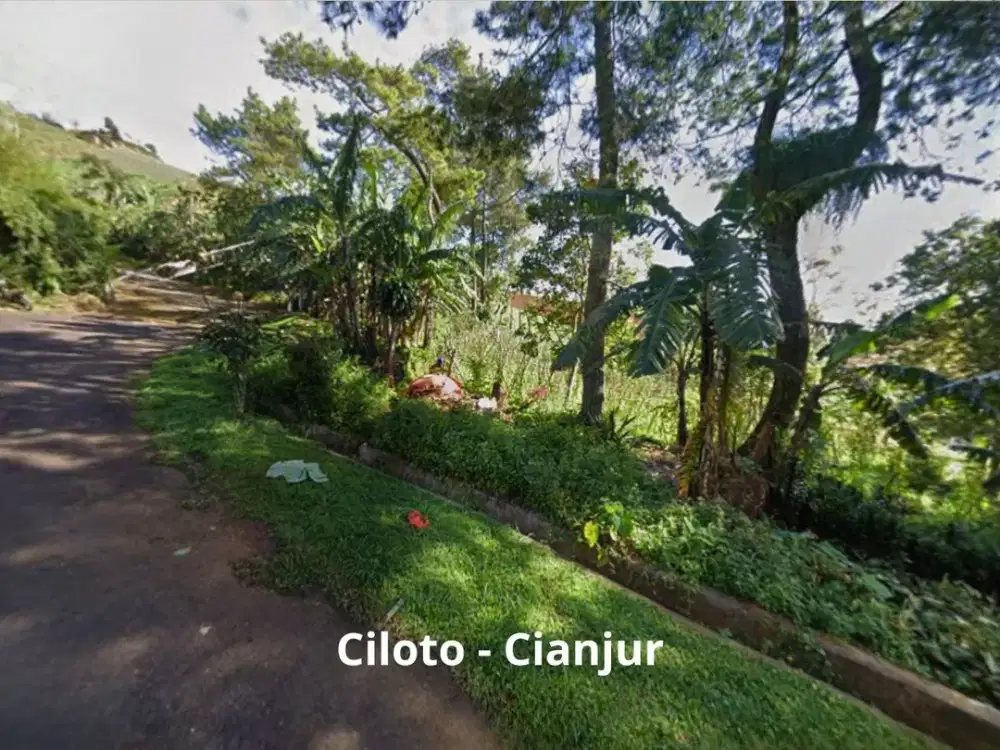 Tanah Kavling 2.000 M² di Ciloto Puncak Cianjur Jawa Barat Termurah Rp500Rb M² Cocok Villa Resort Lokasi Strategis
