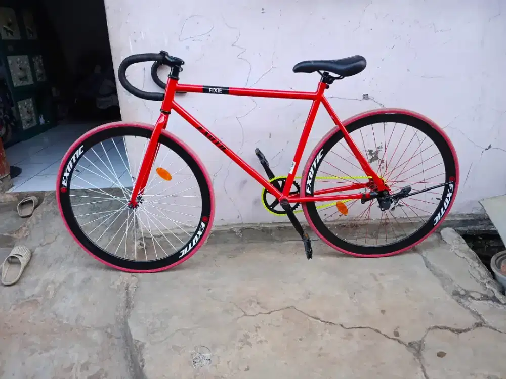 Sepeda Fixie excotic