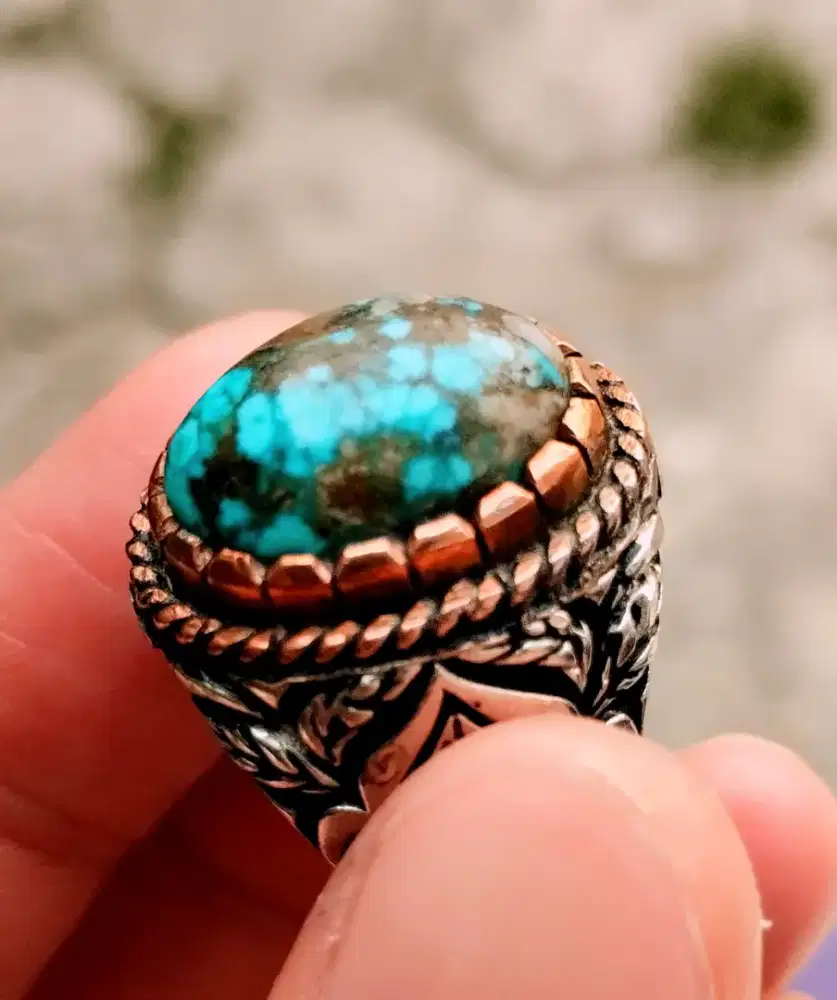 Pirus persia blue fancy lawasan mumbul