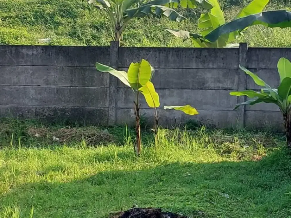 Dijual Tanah di Adhiyaksa Dekat Kampus STT Telkom Bandung