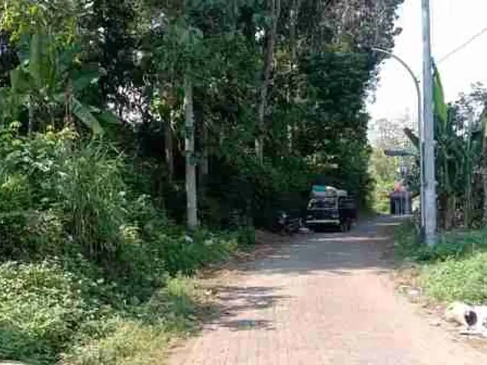 tanah kampung murah cocok untuk investasi di patemon gunungpati