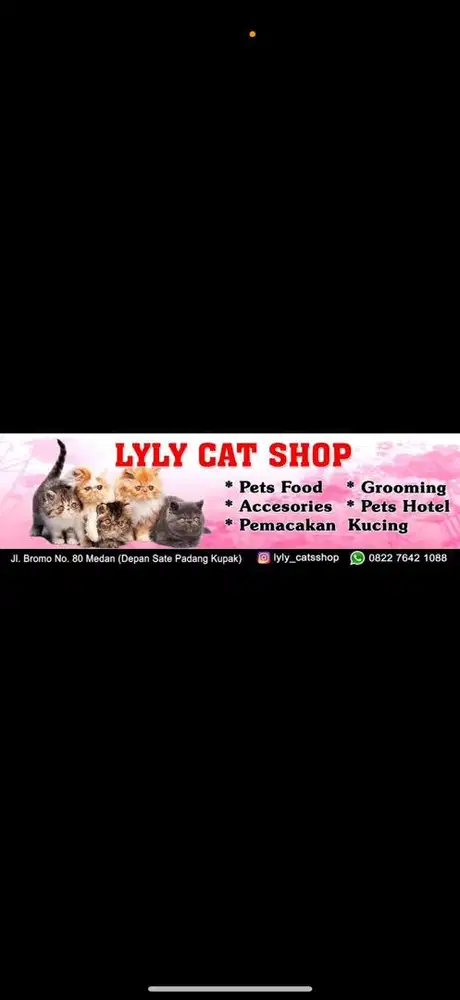 Dicari karyawan wanita untuk toko makanan kucing