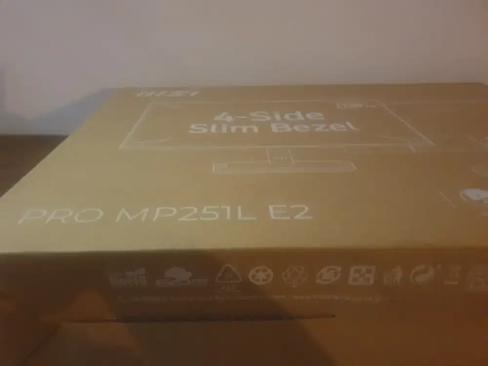 Monitor MSI PRO MP251L E2 25 inch
