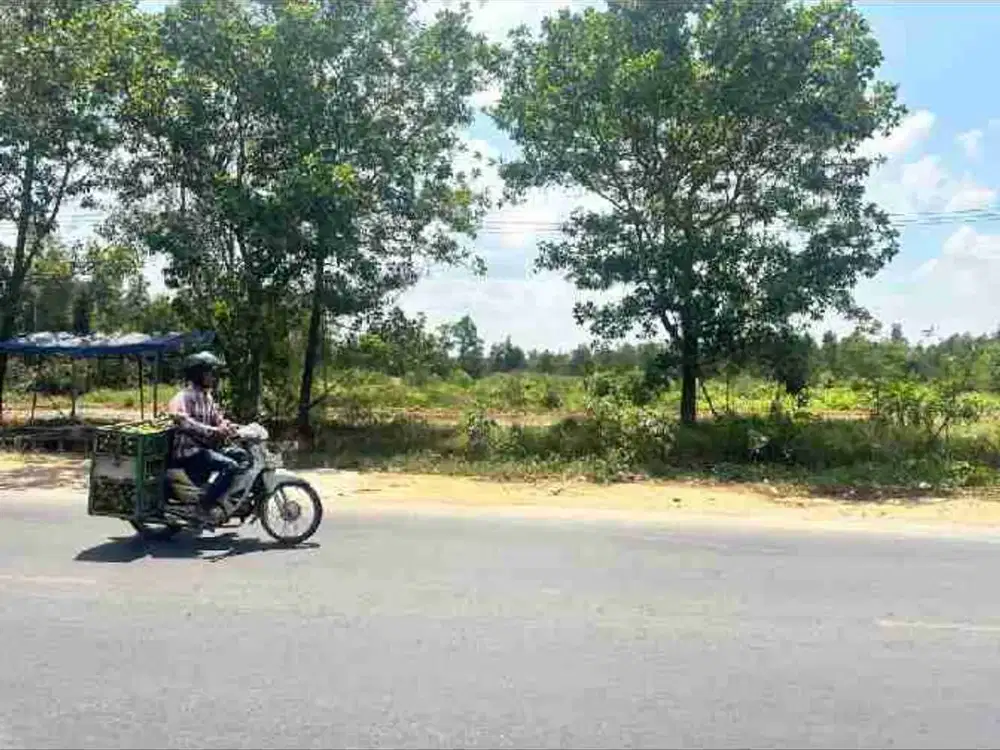 Dijual Kavling Barito Kuala Alalak Semangat Dalam, Kalimantan Selatan
