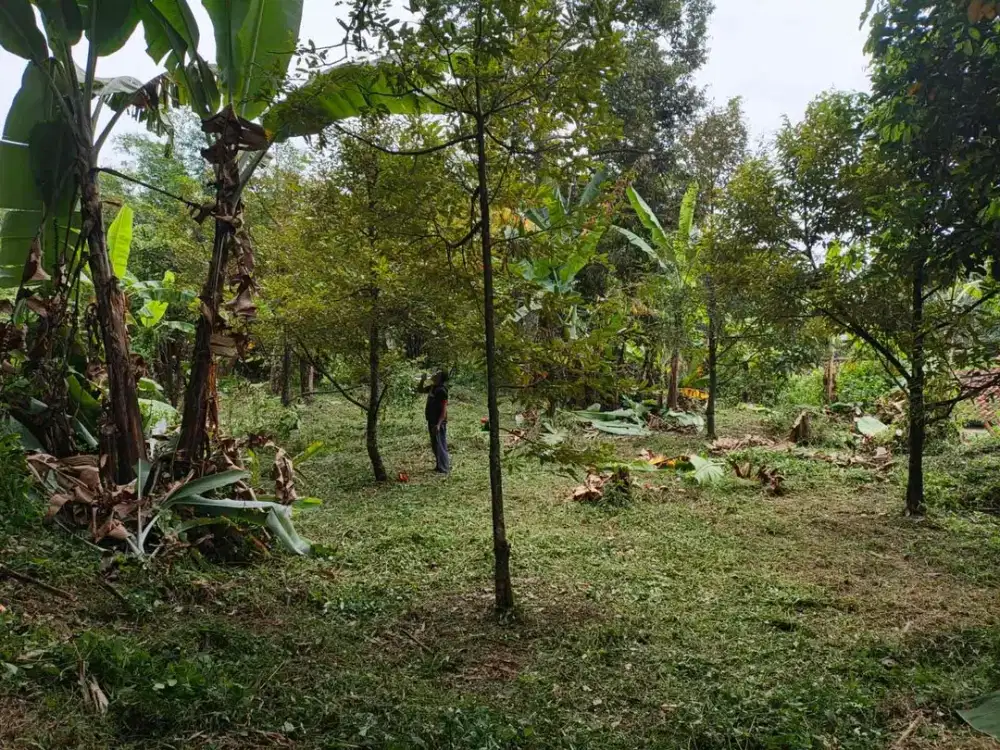 DIJUAL CEPAT & SUPER BU

TANAH DI CIMALAKA SUMEDANG DEKAT ALUN2 HARGA MURAH 

Lokasi   : Belakang Desa Cimalaka ( pasar cimalaka ), 30 m dari Smp 1
Cimalaka, 300 meter dari alun2 cimalaka Sumedang

Luas tanah 476m²
Surat  : Sertifikat hak milik

Harga  :