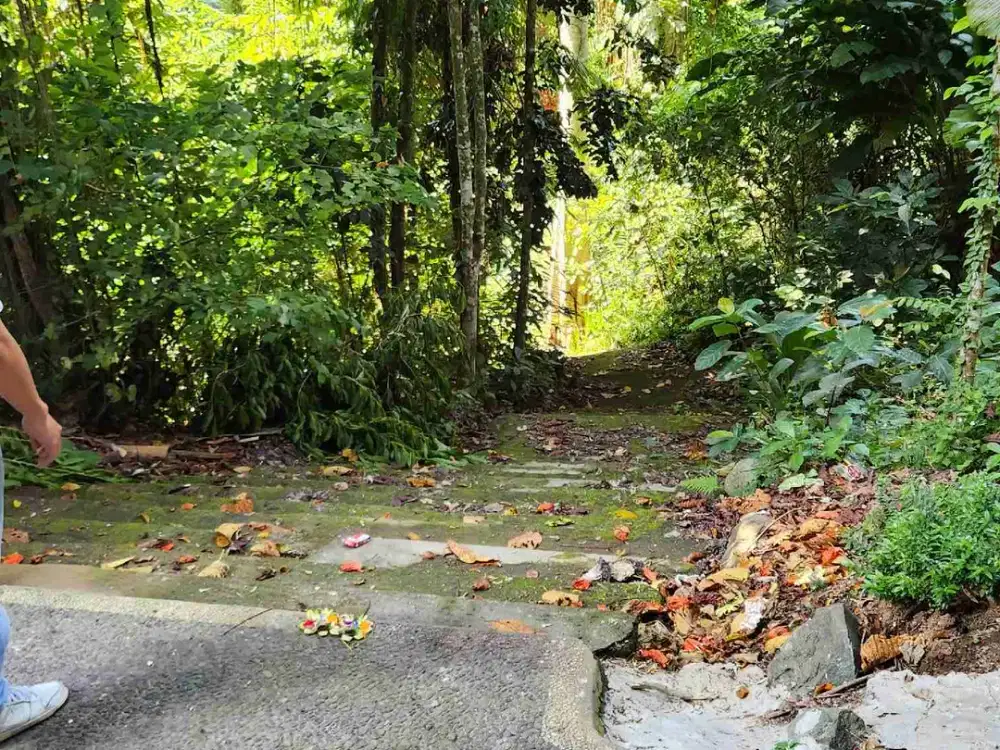 Land For Lease  in the Heart of Ubud