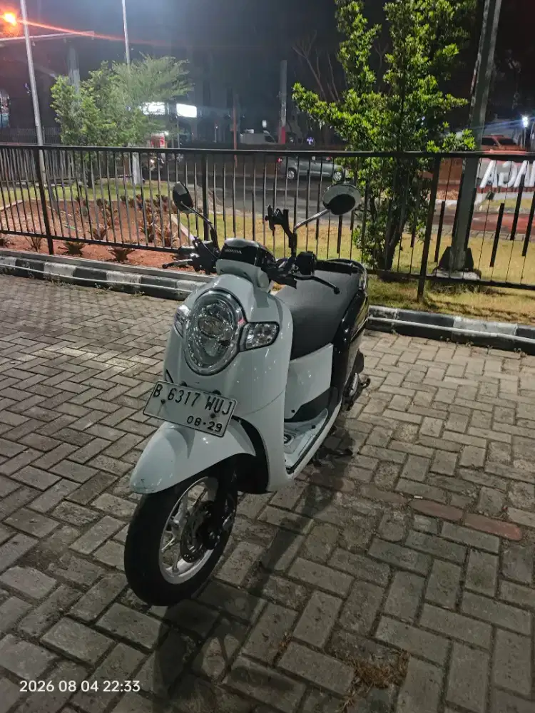Honda Scoopy Sporty 2019