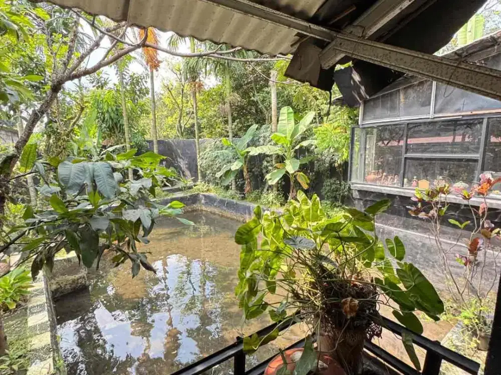 Dijual Rumah konsep Villa di Kabandungan  Ciapus