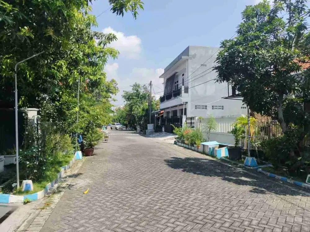 Disewakan Rumah 1 Lt Di Palm Spring Jambangan Harga Termurah