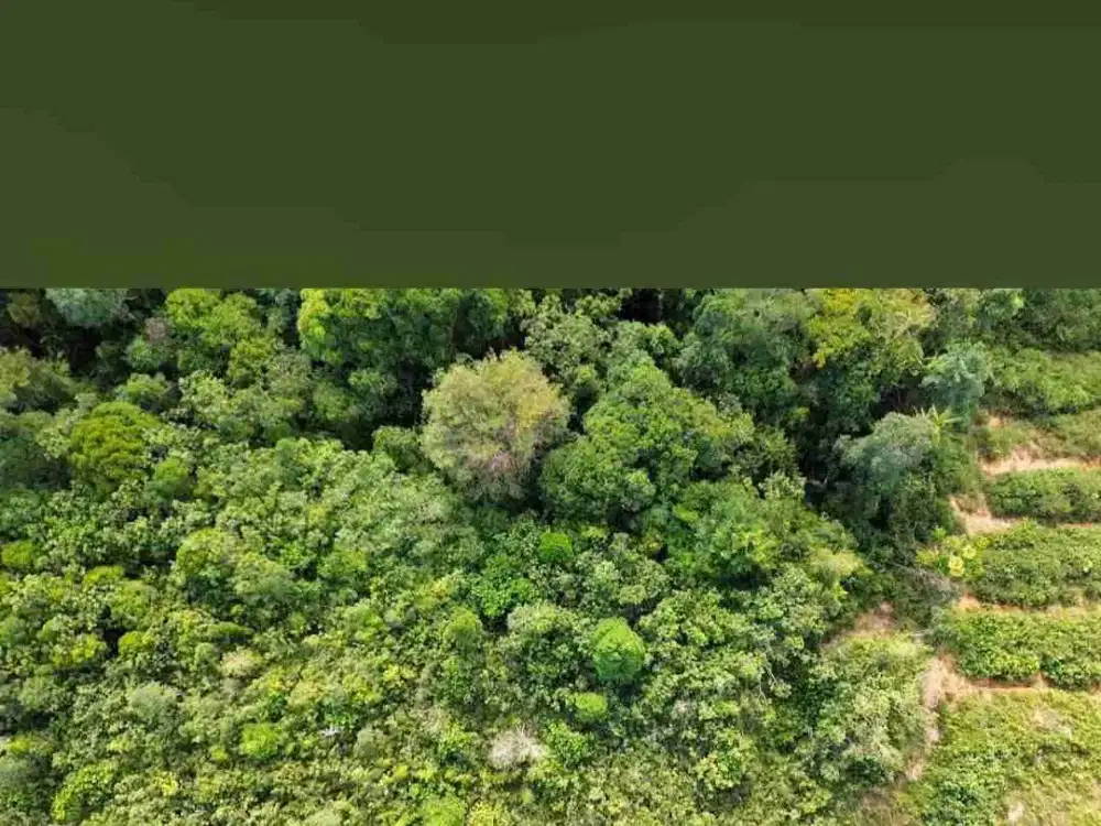 TANAH COCOK UNTUK USAHA JANGKA PANJANG
