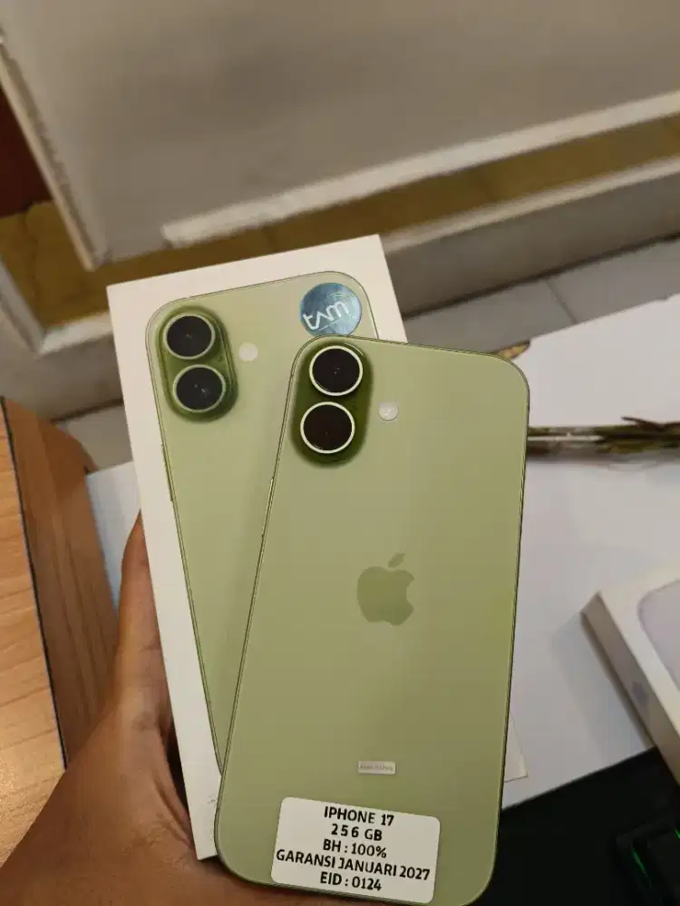 Iphone 17 256gb Sage
