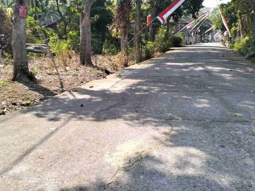 dijual lahan luas di Kertosari Madiun Ideal untuk Perumahan Komersil