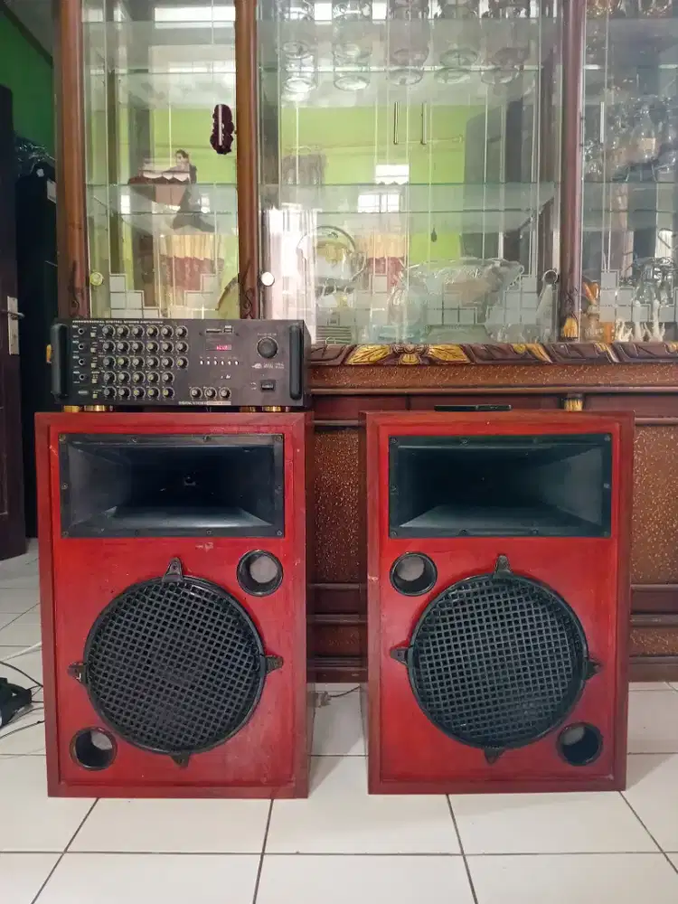 Speaker 13 Inch