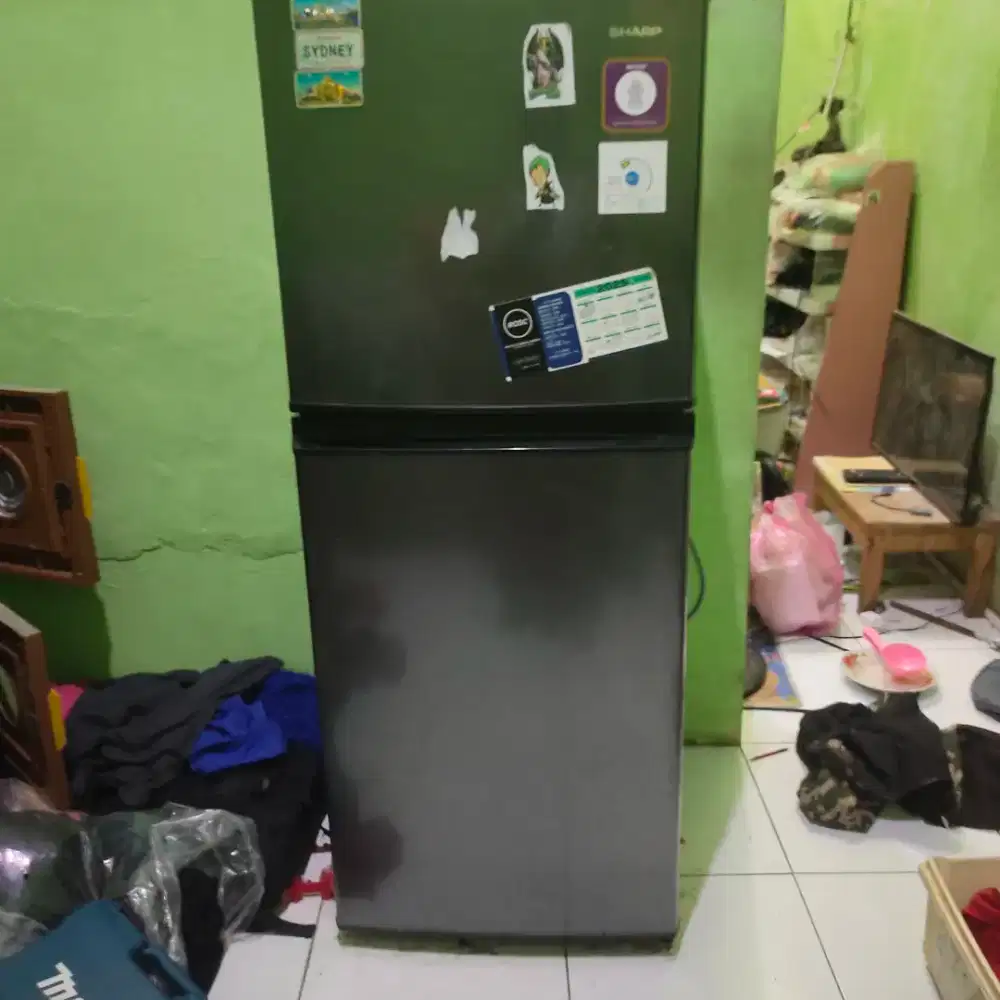 Kulkas sharp 2 pintu