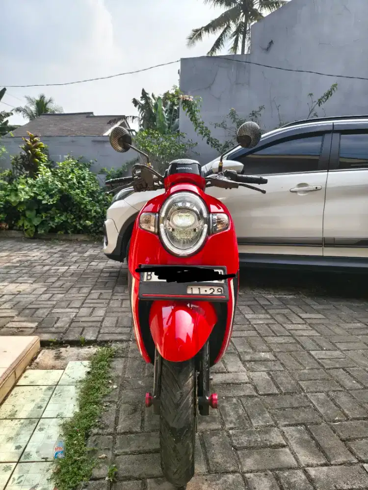 Scoopy Sporty 2019
