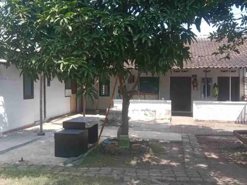 Tanah Murah Bonus Rumah Kost