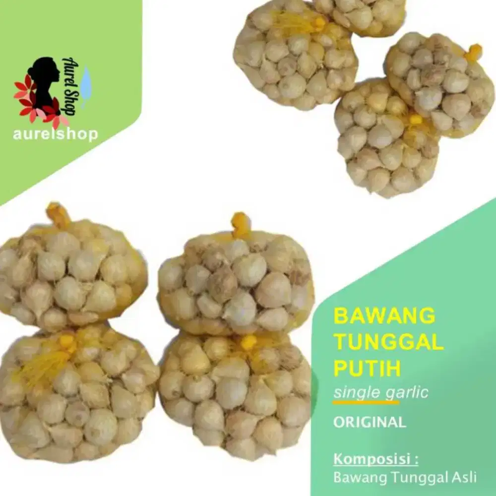 Bawang Putih Tunggal Segar