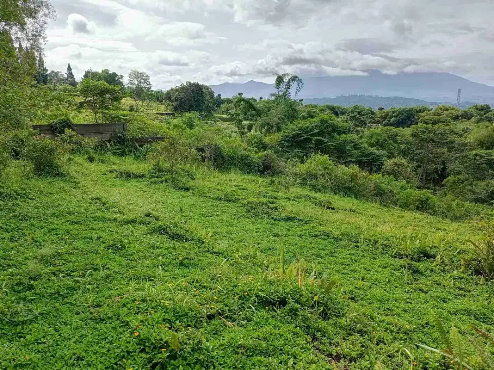tanah murah gunung geulis