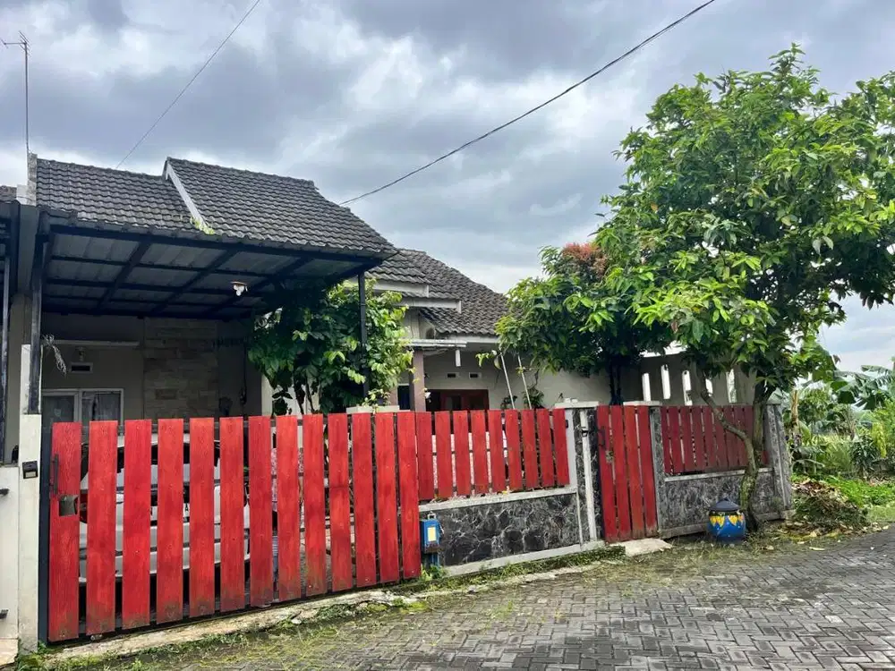 Disewakan Rumah Tinggal Asri di daerah Mulyorejo, Sukun, Kota Malang