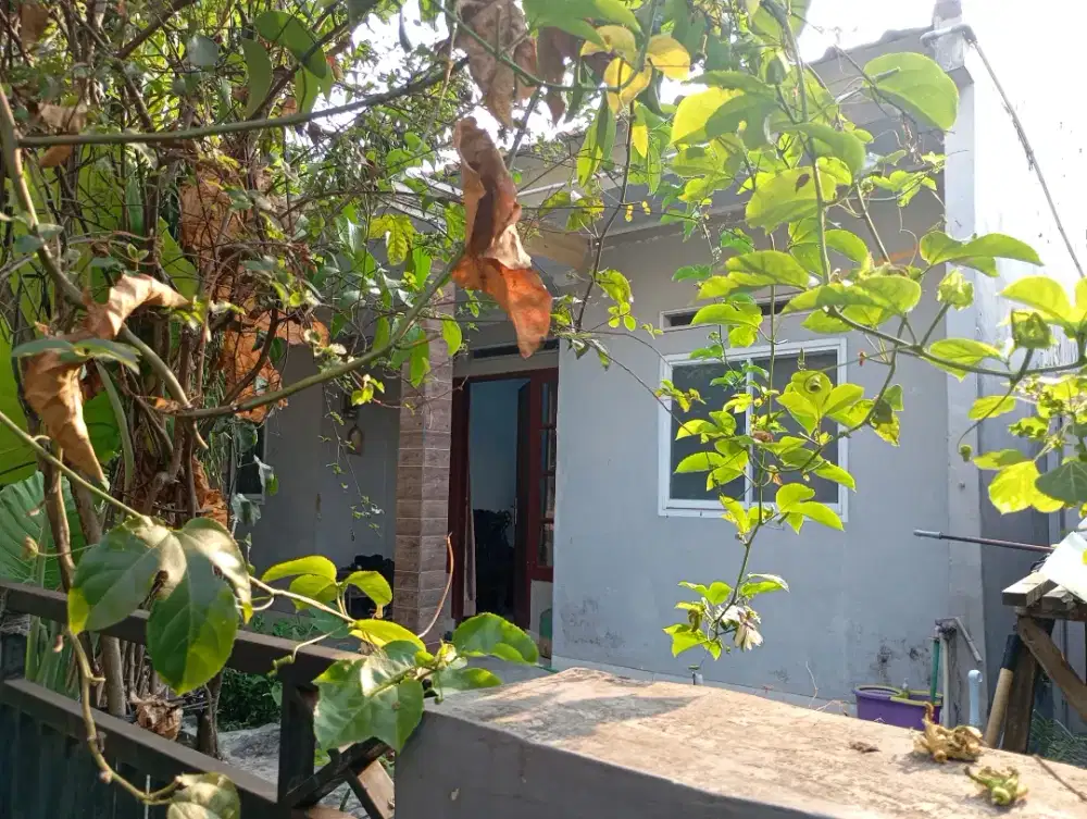 Jual rumah 108 m2 jagakarsa