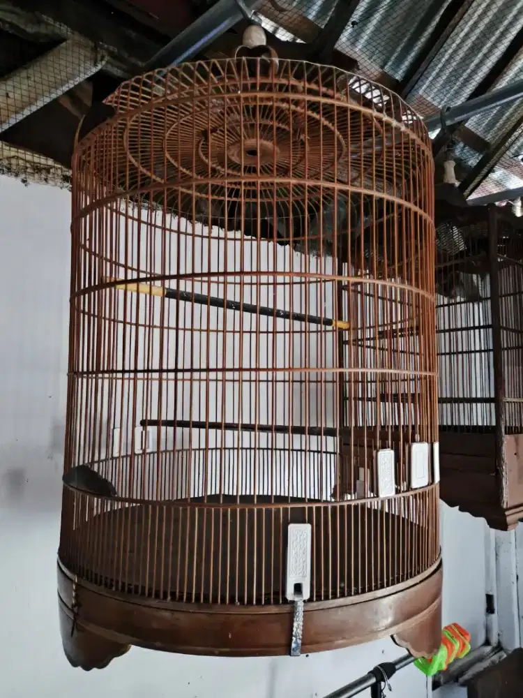 Sangkar burung murai