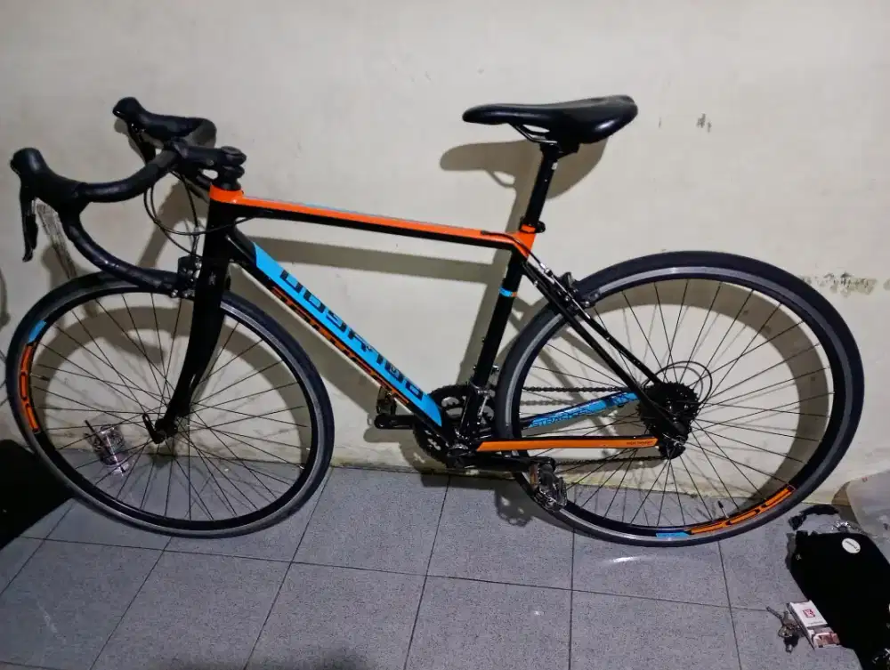 Roadbike polygon strattos s2