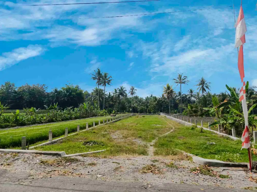 Tanah Murah View Gunung Merapi Strategis Untuk Berbagai Usaha