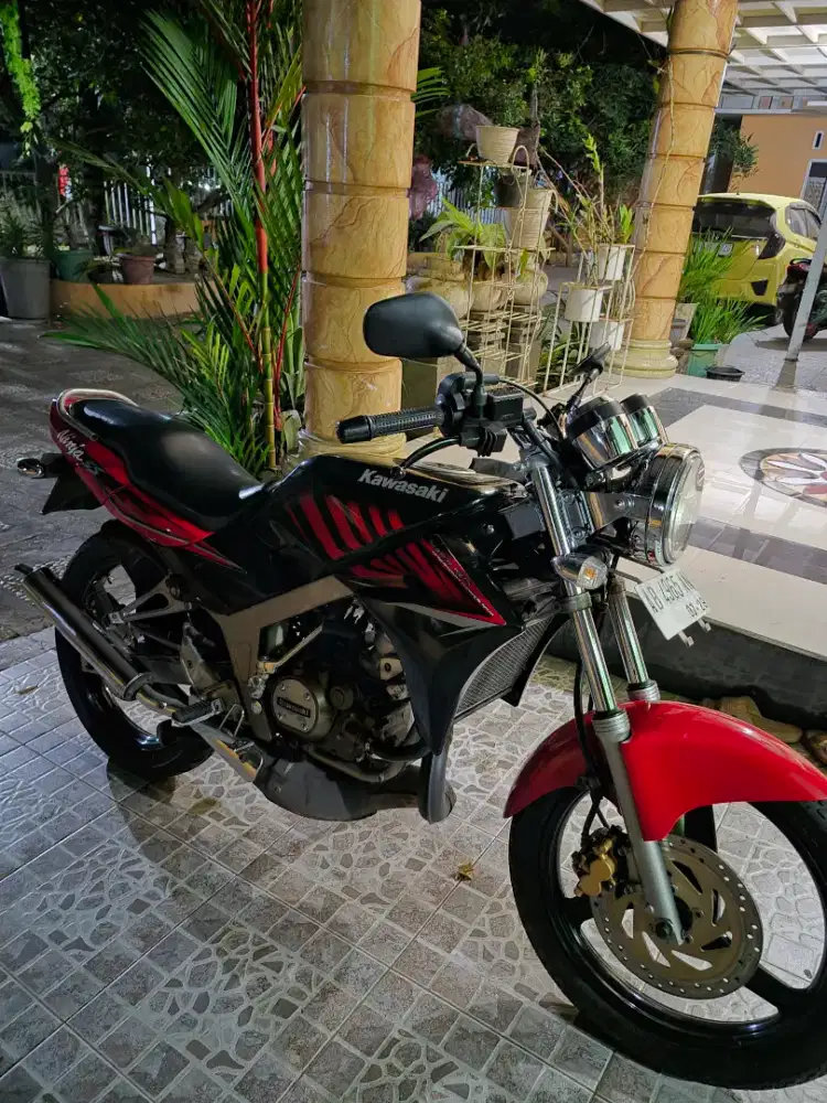 Ninja SS Zebra 2014