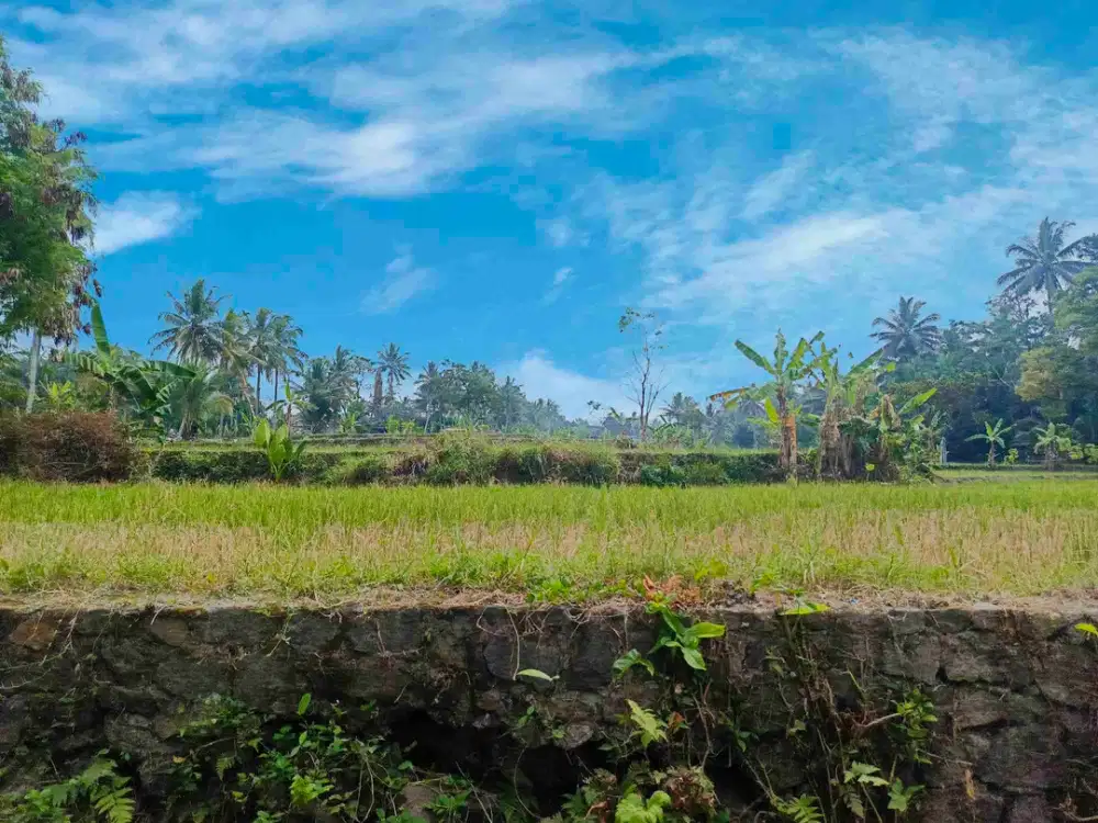 Tanah Luas Murah Terjangkau View Gunung Merapi SHM