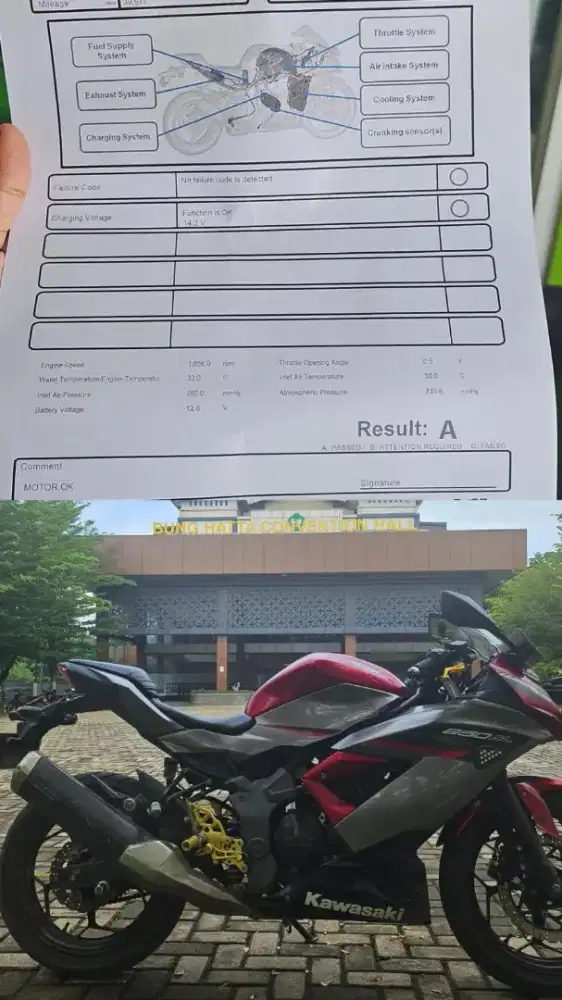 Di jual Ninja Kawasaki RR mono 250 cc