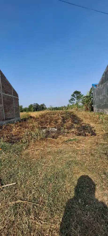 Jual Tanah 1.966 m  lebar muka 15 m Pangkah kabupaten Tegal