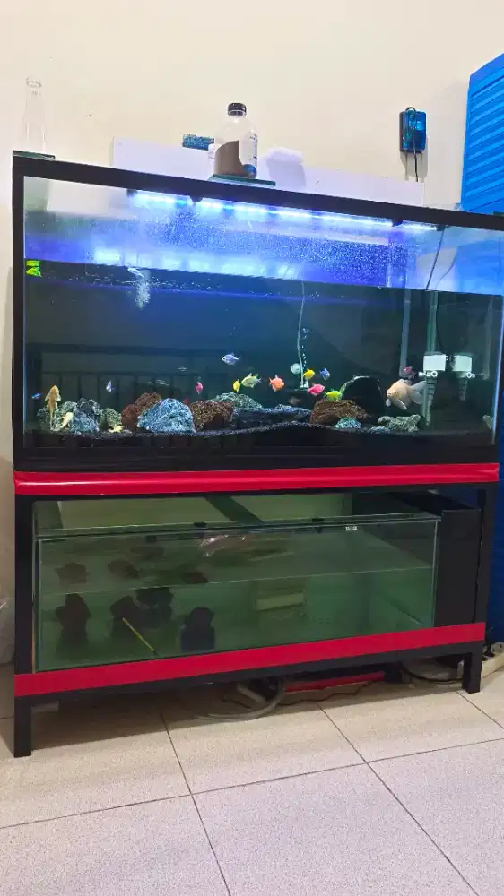 Aquarium fullset