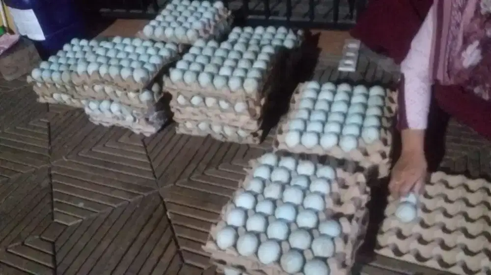 Telur Bebek fresh dan Asin