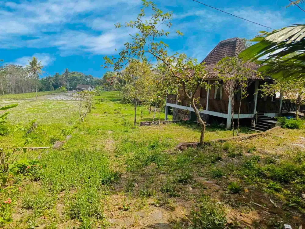 Dijual Murah Rumah Limasan Jawa + Tanah Terasiring luas 2000m² Daerah Sejuk Dingin