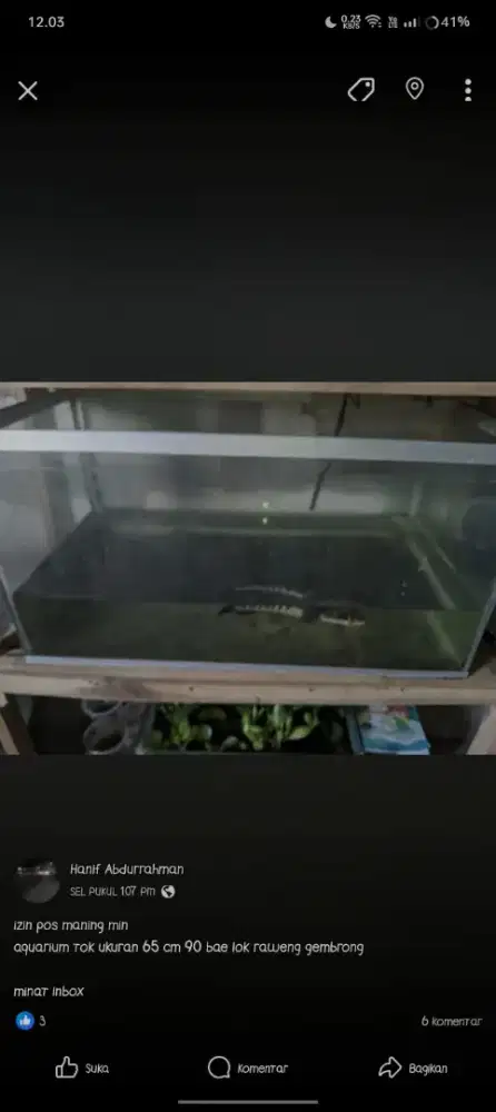dijual aquarium bekas uk 65x34x34 100k