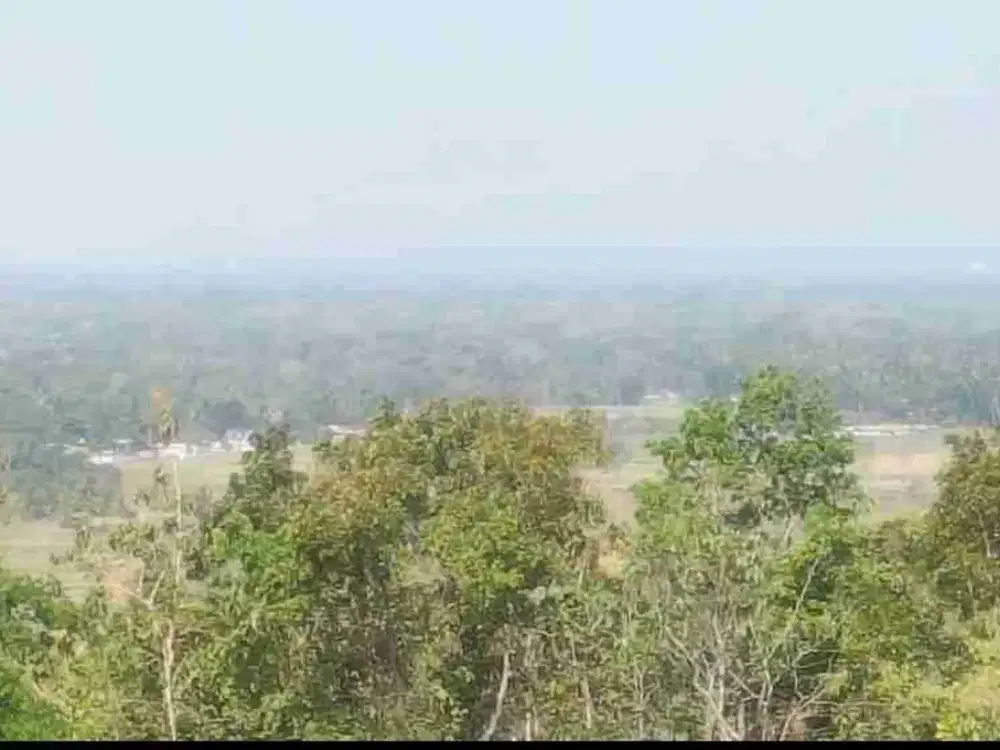 Tanah Murah View Sawah dan perbukitan Menoreh di Girimulyo Kulon Progo