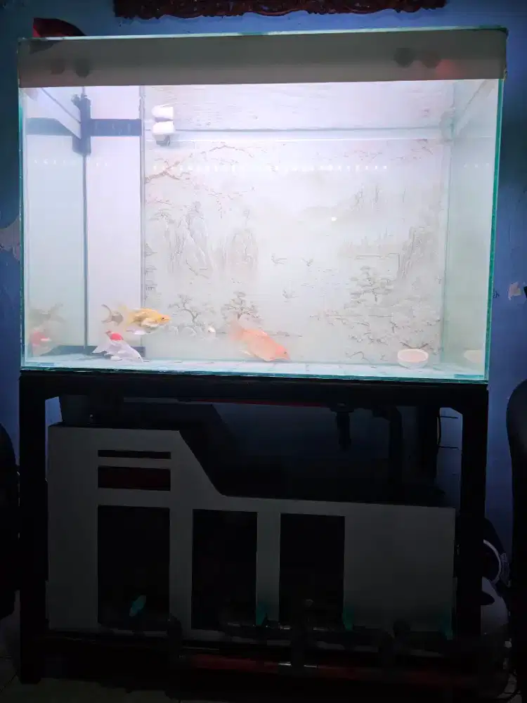 Aquarium 100 × 45 x 70